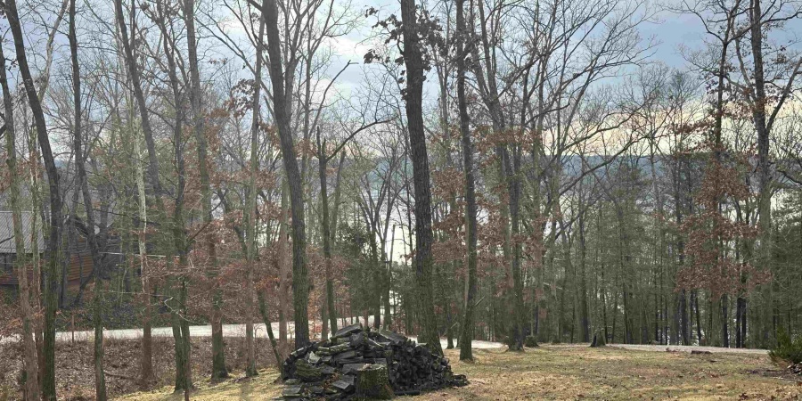 8995 S Ella Street, Nashville, Indiana 47448,MLS,202602265