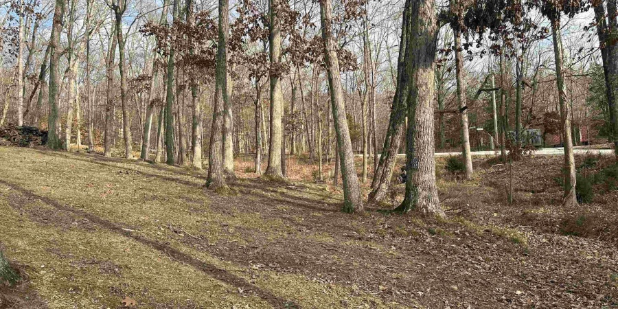 8995 S Ella Street, Nashville, Indiana 47448,MLS,202602265