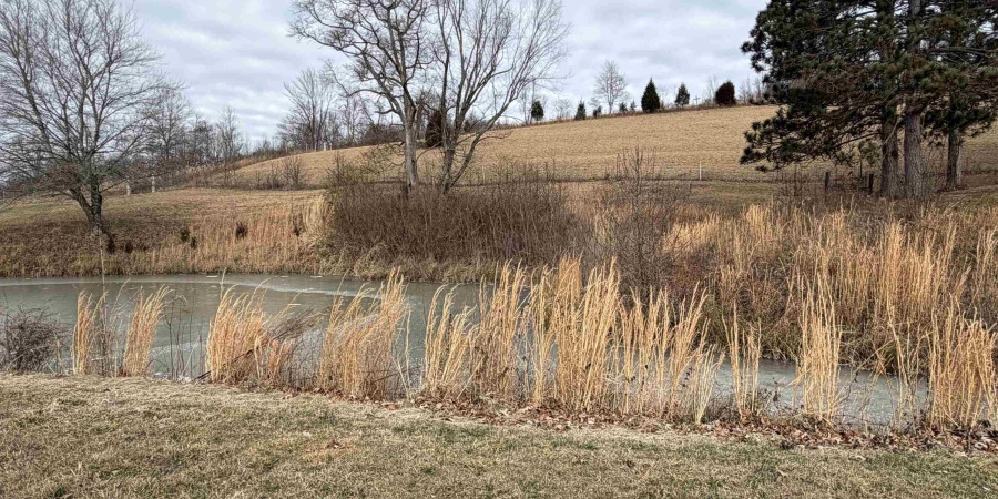 4197 E State Road 58, Bloomfield, Indiana 47424-5233,MLS,202602208