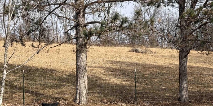 4197 E State Road 58, Bloomfield, Indiana 47424-5233,MLS,202602208