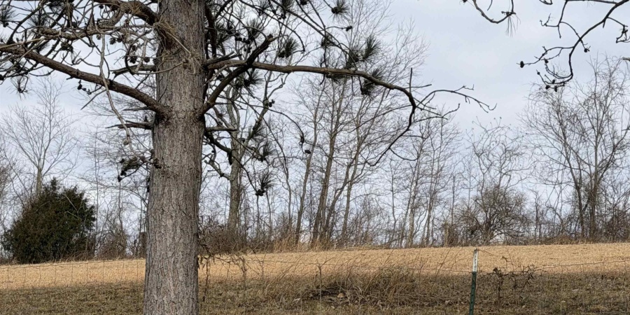 4197 E State Road 58, Bloomfield, Indiana 47424-5233,MLS,202602208