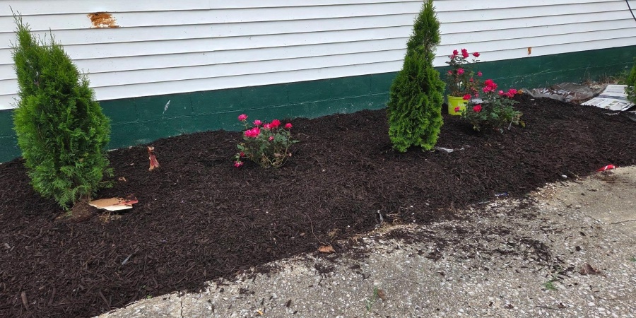 4197 E State Road 58, Bloomfield, Indiana 47424-5233,MLS,202602208