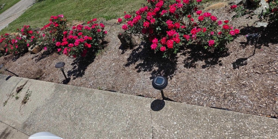 4197 E State Road 58, Bloomfield, Indiana 47424-5233,MLS,202602208