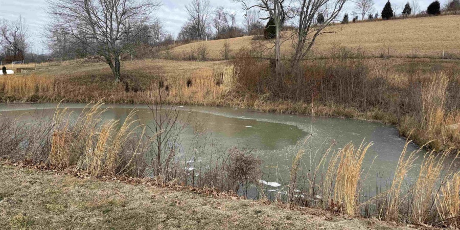 4197 E State Road 58, Bloomfield, Indiana 47424-5233,MLS,202602208