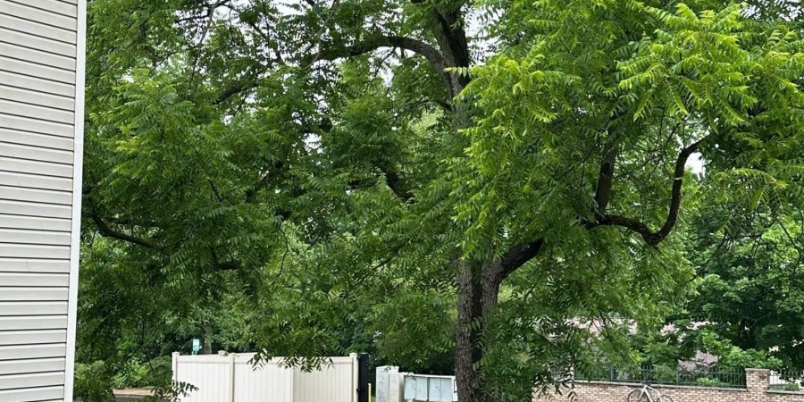 648 E Sherwood Hills Drive, Bloomington, Indiana 47404,MLS,202602703