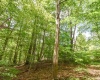 Lot 63 N Viking Ridge Road, Bloomington, Indiana 47408,MLS,202602987