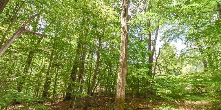 Lot 63 N Viking Ridge Road, Bloomington, Indiana 47408,MLS,202602987