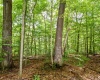 Lot 63 N Viking Ridge Road, Bloomington, Indiana 47408,MLS,202602987