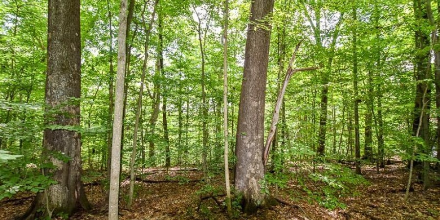 Lot 63 N Viking Ridge Road, Bloomington, Indiana 47408,MLS,202602987