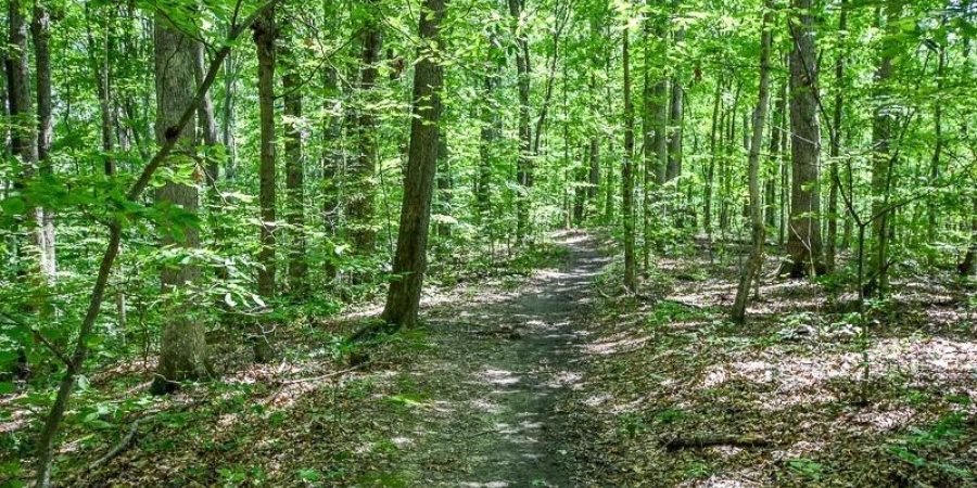 Lot 63 N Viking Ridge Road, Bloomington, Indiana 47408,MLS,202602987