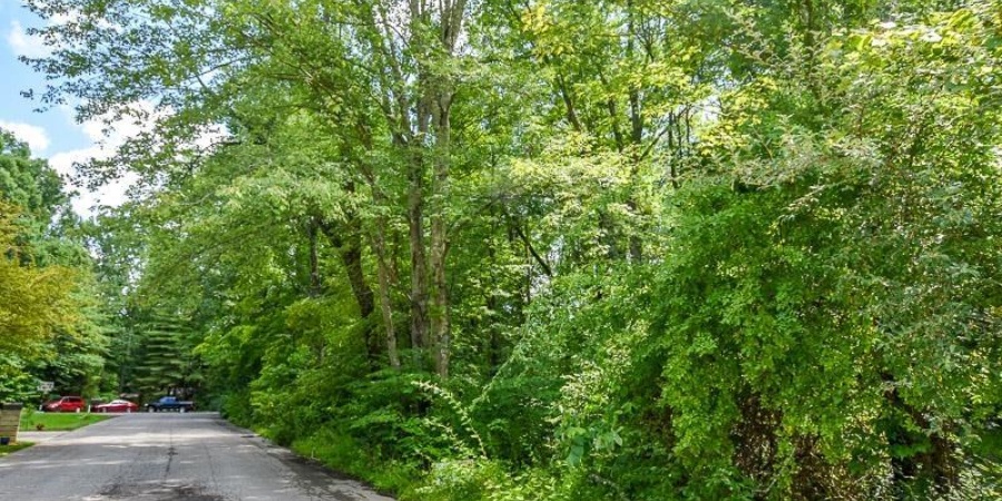 Lot 63 N Viking Ridge Road, Bloomington, Indiana 47408,MLS,202602987