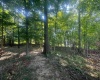 Lot 8 Highland Avenue, Bloomington, Indiana 47401,MLS,202603305
