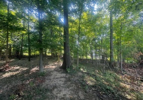 Lot 8 Highland Avenue, Bloomington, Indiana 47401,MLS,202603305