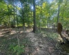Lot 8 Highland Avenue, Bloomington, Indiana 47401,MLS,202603305