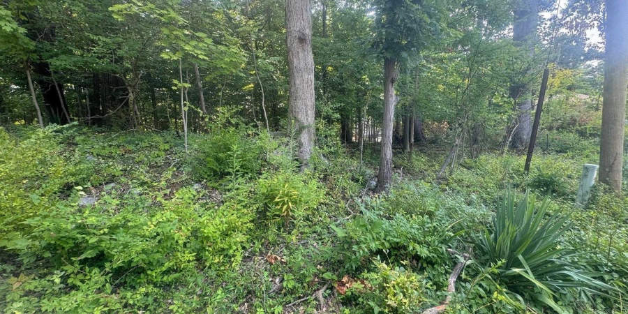Lot 8 Highland Avenue, Bloomington, Indiana 47401,MLS,202603305