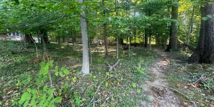 Lot 7 Highland Avenue, Bloomington, Indiana 47401,MLS,202603306