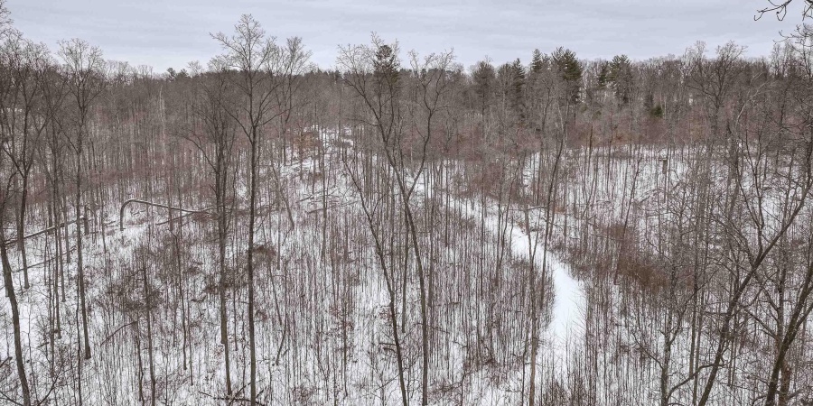 0 Wright Road, Bloomfield, Indiana 47424,MLS,202603333