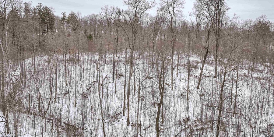 0 Wright Road, Bloomfield, Indiana 47424,MLS,202603333