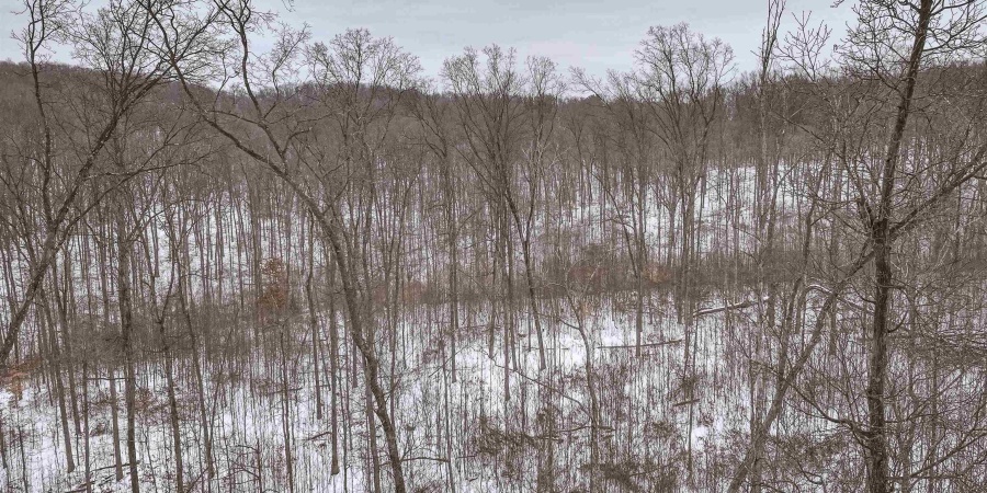 0 Wright Road, Bloomfield, Indiana 47424,MLS,202603333