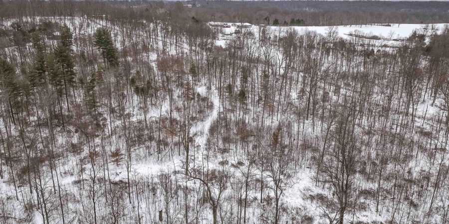 0 Wright Road, Bloomfield, Indiana 47424,MLS,202603333