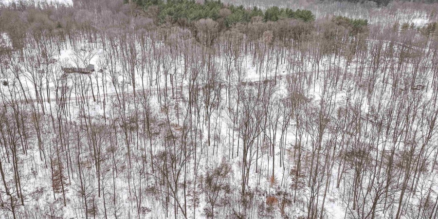 0 Wright Road, Bloomfield, Indiana 47424,MLS,202603333