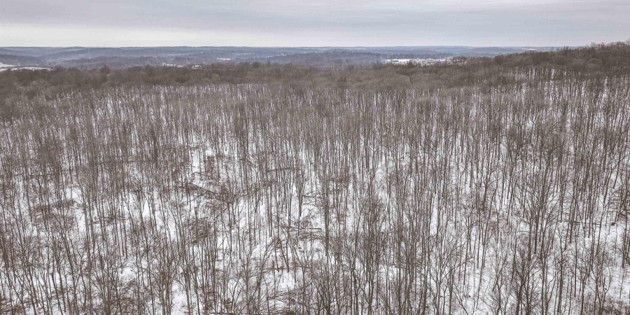 0 Wright Road, Bloomfield, Indiana 47424,MLS,202603333