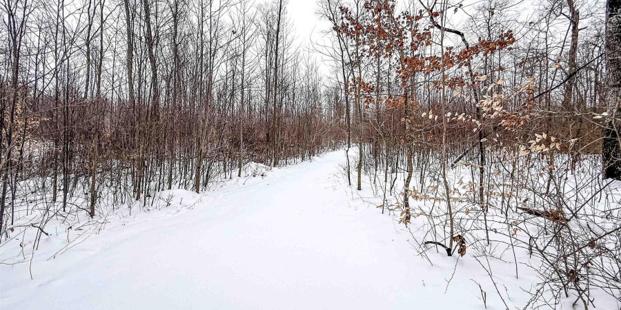 0 Wright Road, Bloomfield, Indiana 47424,MLS,202603333