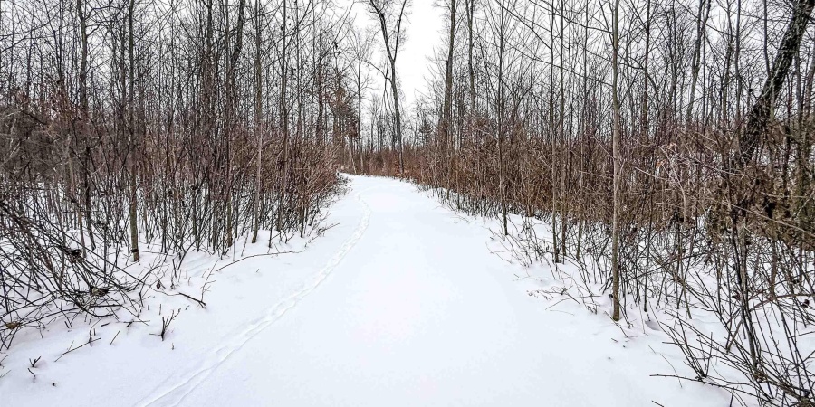 0 Wright Road, Bloomfield, Indiana 47424,MLS,202603333