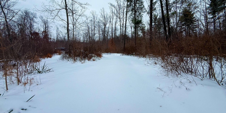 0 Wright Road, Bloomfield, Indiana 47424,MLS,202603333