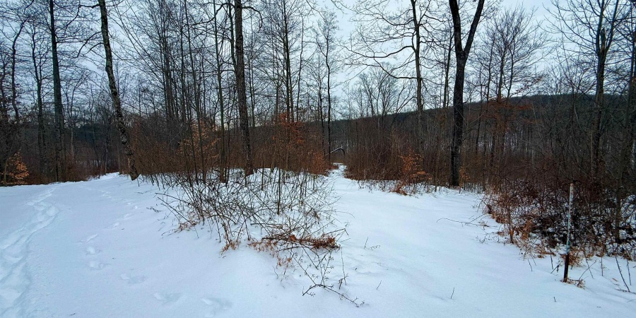 0 Wright Road, Bloomfield, Indiana 47424,MLS,202603333