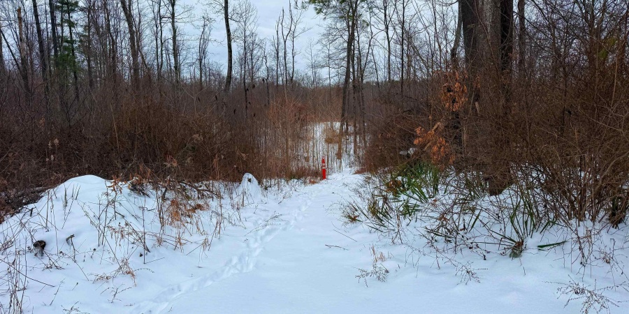 0 Wright Road, Bloomfield, Indiana 47424,MLS,202603333