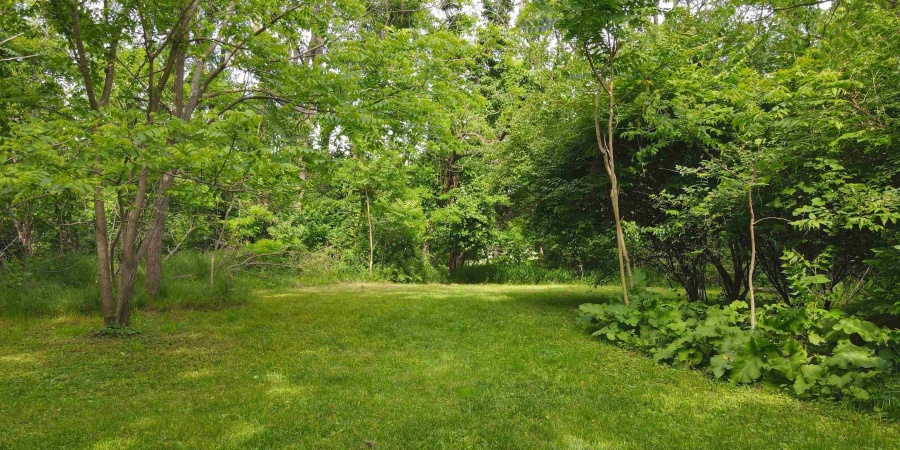 2101 1/2 S Rogers Street, Bloomington, Indiana 47403,MLS,202603397