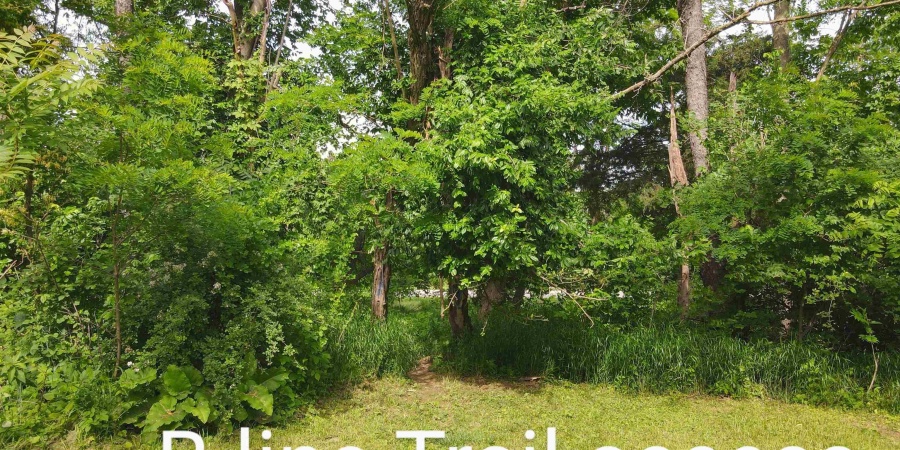 2101 1/2 S Rogers Street, Bloomington, Indiana 47403,MLS,202603397