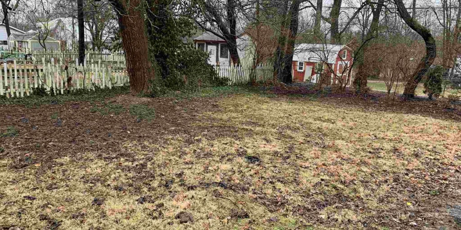 318 S Euclid Avenue, Bloomington, Indiana 47401,MLS,202603947