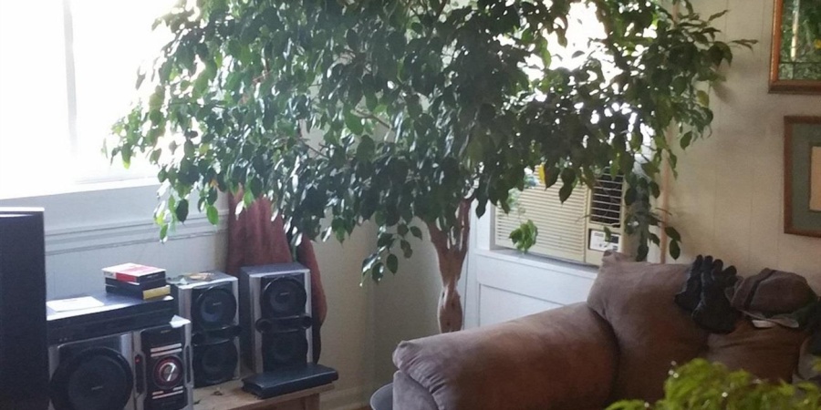 2609 S Madison Street, Bloomington, Indiana 47403,MLS,202603954