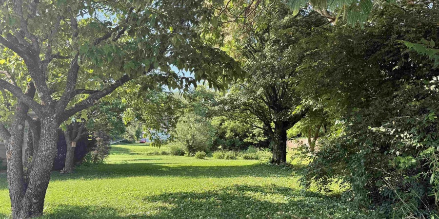 614 W Dixie Street, Bloomington, Indiana 47403-7403,MLS,202604001