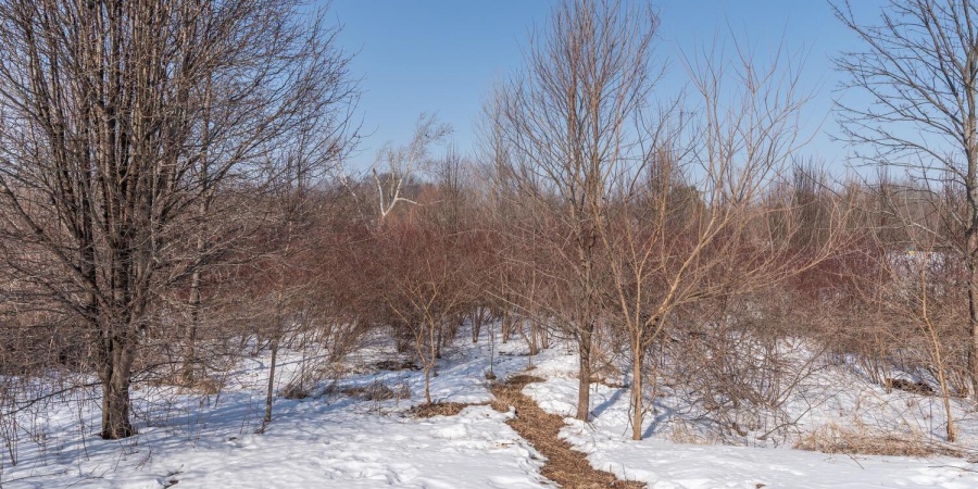 5780 W Monarch Court, Bloomington, Indiana 47403,MLS,202604174