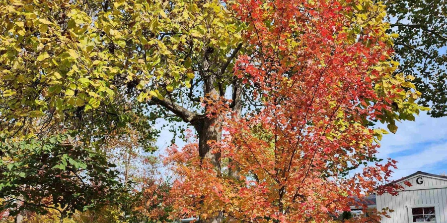 2480 S Smith Road, Bloomington, Indiana 47401,MLS,202604507