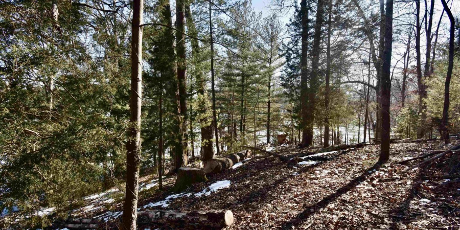 18-19 Halibut Drive, Nineveh, Indiana 46164,MLS,202604743