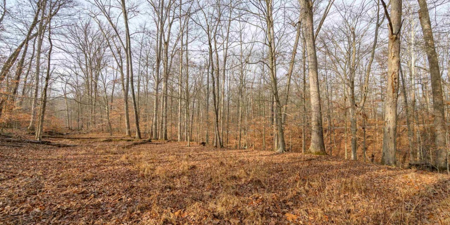 149 Hilltop Lane, Nashville, Indiana 47448,MLS,202446326