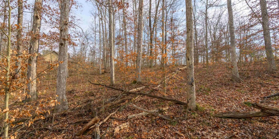 149 Hilltop Lane, Nashville, Indiana 47448,MLS,202446326