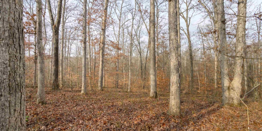 149 Hilltop Lane, Nashville, Indiana 47448,MLS,202446326