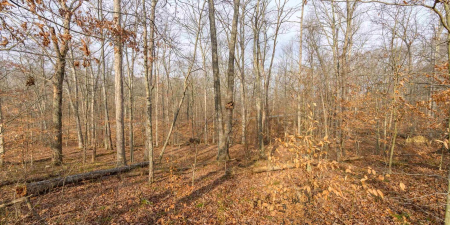 149 Hilltop Lane, Nashville, Indiana 47448,MLS,202446326