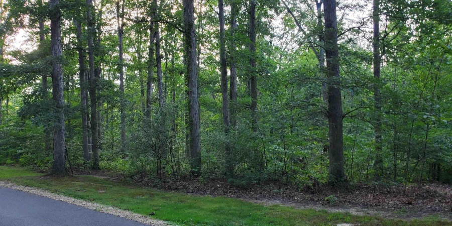 149 Hilltop Lane, Nashville, Indiana 47448,MLS,202446326