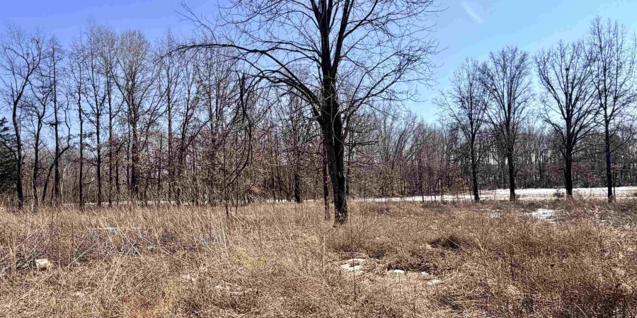 4541 W 1350 S Road, Jasonville, Indiana 47438,MLS,202604769