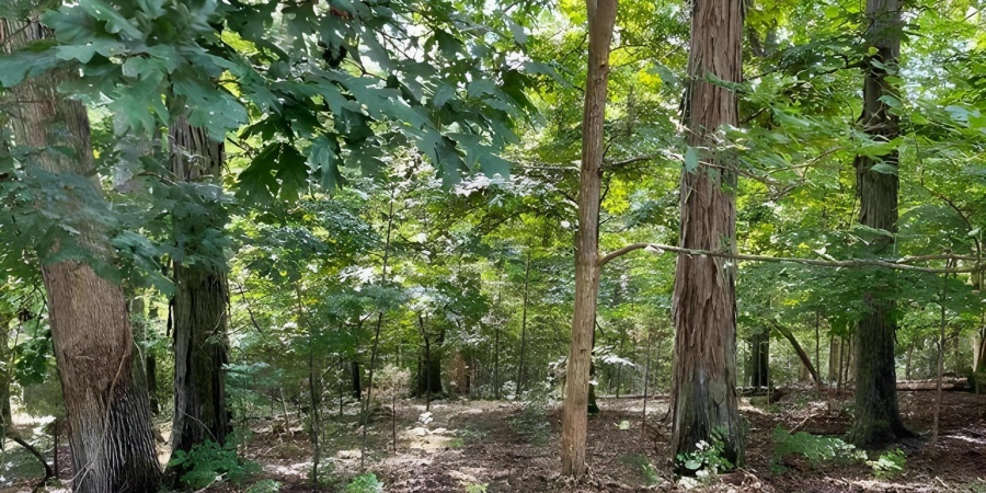 8828 S Morrison Court, Bloomington, Indiana 47401,MLS,202604999