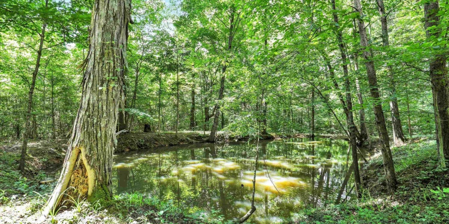 8178 S Old State Road 37, Bloomington, Indiana 47403,MLS,202604996