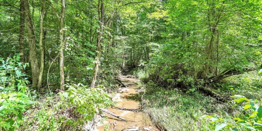 8178 S Old State Road 37, Bloomington, Indiana 47403,MLS,202604996