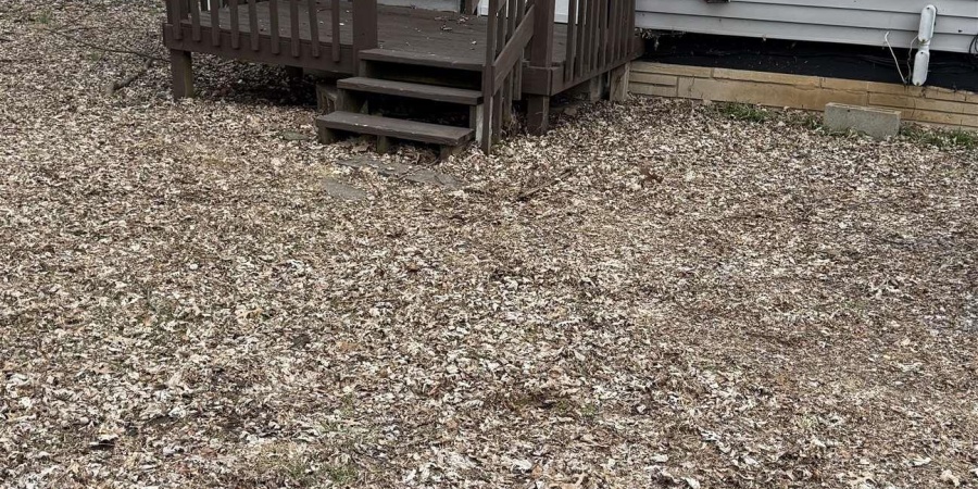 1106 S Madison Street, Bloomington, Indiana 47403,MLS,202605326