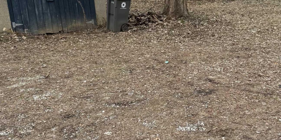 1106 S Madison Street, Bloomington, Indiana 47403,MLS,202605326